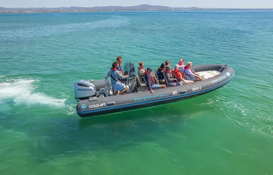 RIB Boat Rental in the Algarve