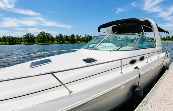32ft Sea Ray Cruiser | Private Vessel Rental | Toronto Harbour