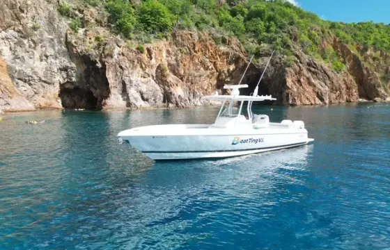32ft Intrepid Power Boat Rental British Virgin Islands Trip
