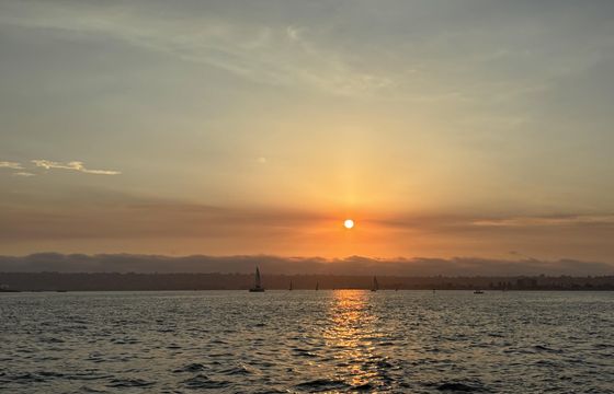 Discover the magic of the sea | Westsail 43' Private Sailing Tours