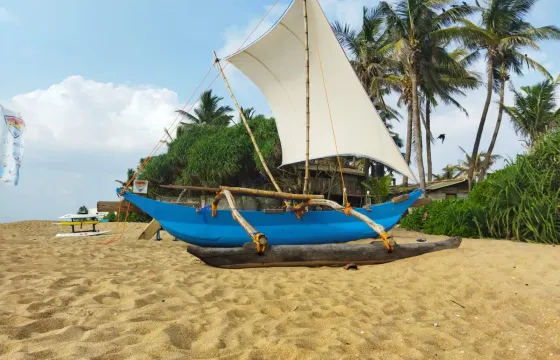 Catamaran Sunset Sailing in Port City