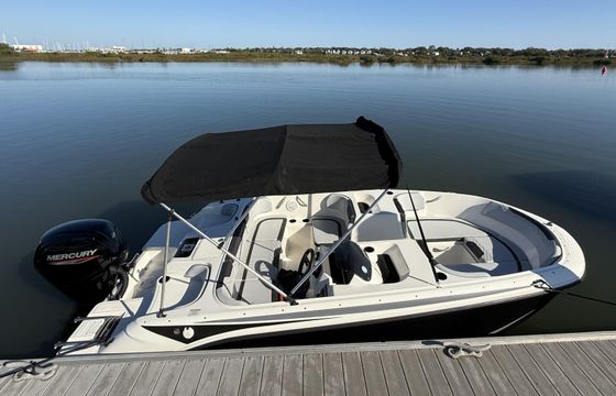 Peppy Bayliner M17! Value-Packed Fun for Small Groups!