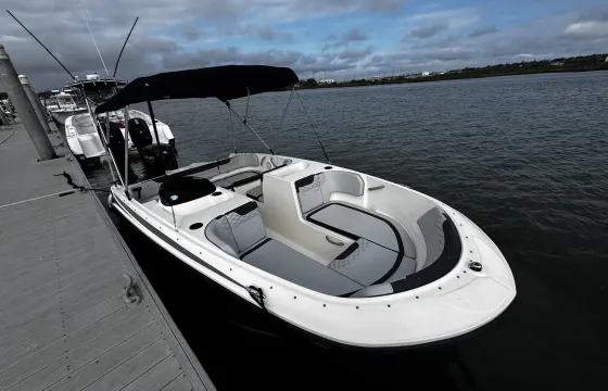 Peppy Bayliner M17! Value-Packed Fun for Small Groups!
