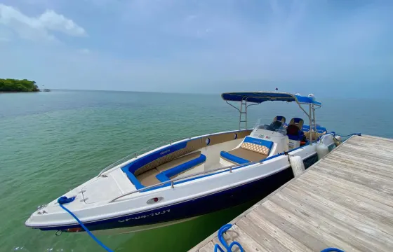 Private 28ft Speedboat to Rosario Islands from Cartagena up to 8 Guests