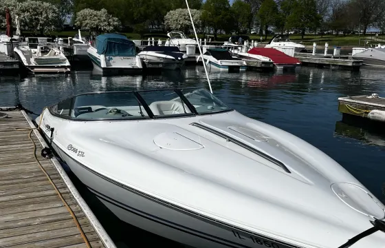 Private Tours on 27' Baja Boss Speedboat in Chicago with Captain Bob
