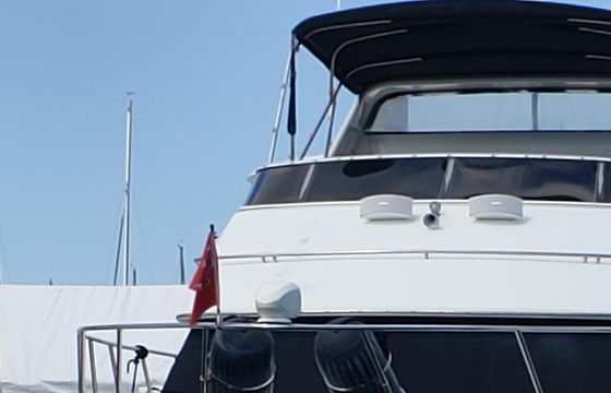 42' Carver Motor Yacht for all occasion in Galveston