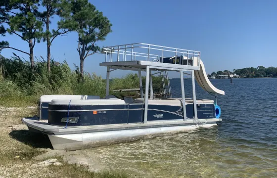 Dolphin tour, Crab island, snorkeling, fireworks