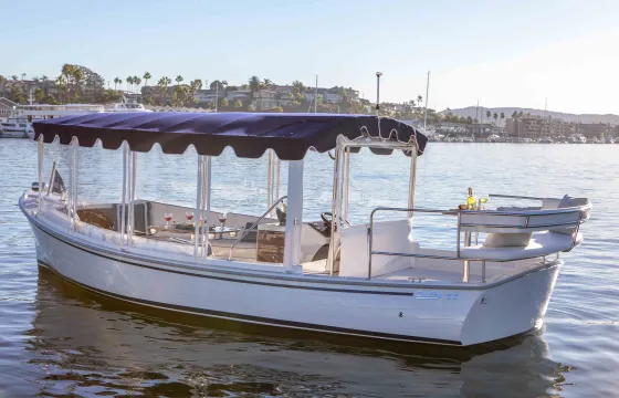 Duffy Electric Boat Cruise with Captain, Wine and Charcuterie in Marina del Rey