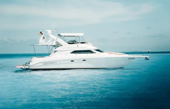 Beautiful 51' Sea Ray Motor Yacht in Cancún