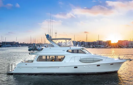Unforgettable Dolphin Cruises, Scenic Coasts & Fishing Fun!!