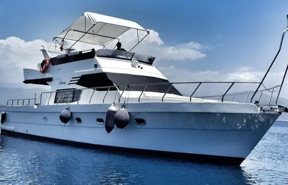 Affordable Istanbul Bosphorus Boat Tours