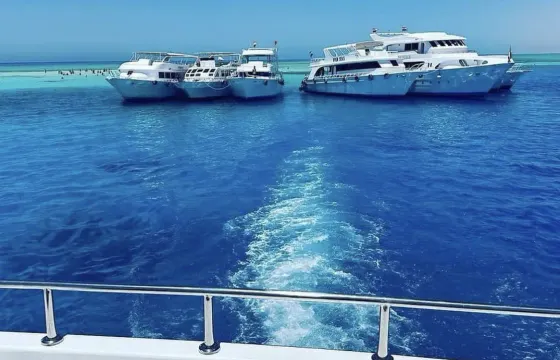 Diving + White Island trip VIP Yacht in Sharm El Sheikh