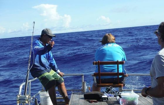 Guided Game Fishing In Avarua District