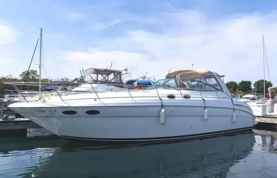 42' Sea Ray Sundancer Luxury Party Yacht In Downtown Toronto For All Occasions