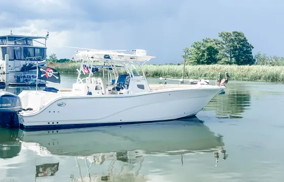 Private boat trips to Cape San Blas, Panama City, Crooked Sound.