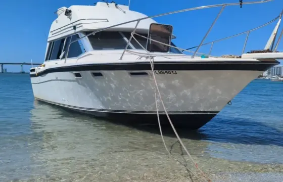 30ft Bayliner 2850 Contessa Cabin Cruiser in Palm Beach Waters