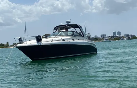 Sea Ray 38ft best boat Rental In Miami for up to 10 peoples