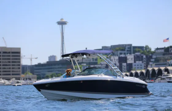 Dash the Lake in our Premium Cobalt Bowrider! Hassle-free refueling!