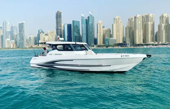 36ft Cruising and Fishing Boat