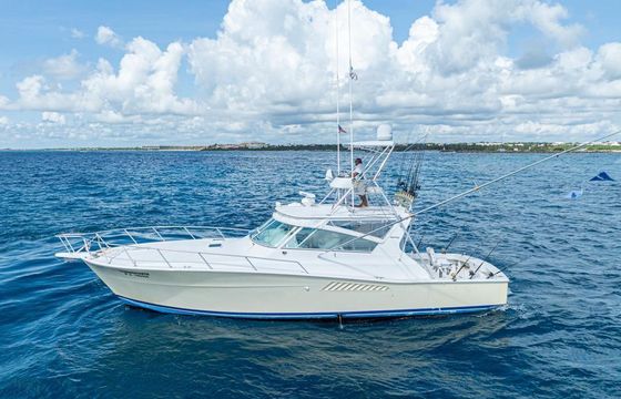43ft Viking boat - Elegant and powerfull boat amazing for Fishing and Snorkel