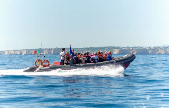 Albufeira: RIB Boat Dolphins & Benagil Caves