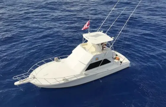 Viking 43' – Luxury Sport Yacht Charter