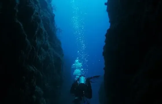 Local Reef Dive Boat Trips for 2 Person in Belize!