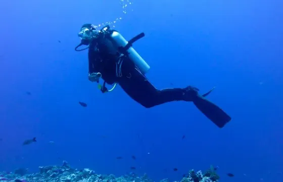 RIB Diving Trips in Avatoru, French Polynesia