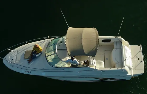 Cap Cana Marina Private Yacht Searay 25 FT