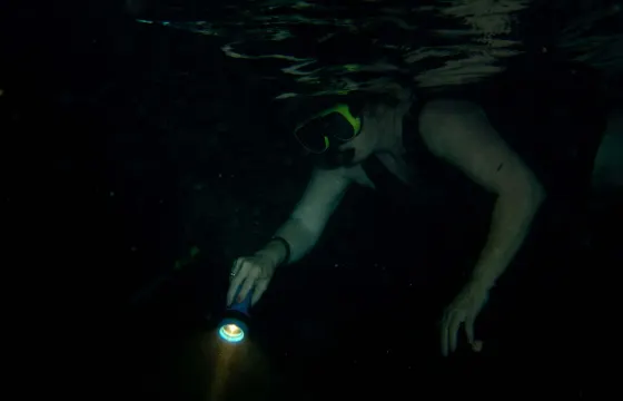 Night Snorkeling in Mirissa, Sri Lanka