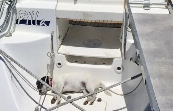 Cruising in Southern Adriatic