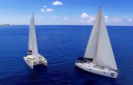 Sailing Catamaran Grand Cayman Sunset, Stingray City, Starfish Point & Snorkel
