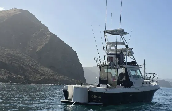 OFFSHORE Sportfishing and Harbor/Sunset Cruises