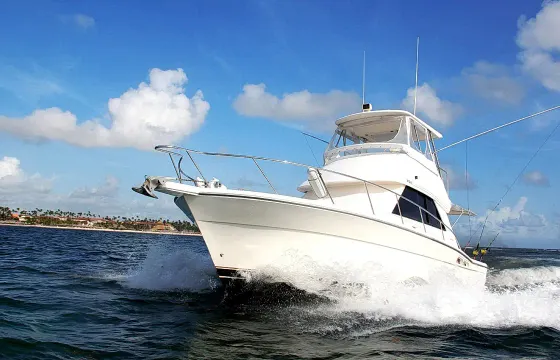 Private Fishing Charter on 37' Sportfishing Yacht in Punta Cana, La Altagracia