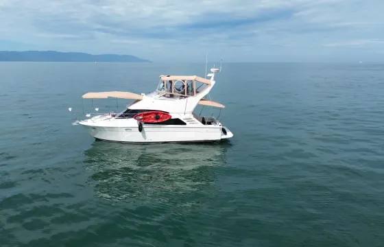 Carver 38 Sedan Bridge Yacht in Puerto Vallarta