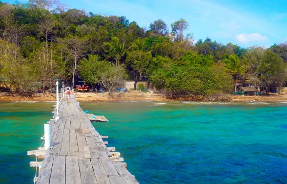 MARINE CONSERVATION INSIGHT TOUR