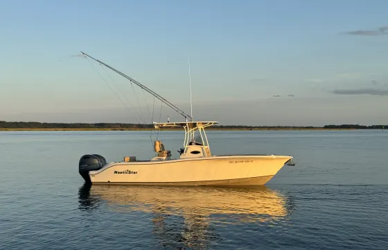 Lowcountry Harbor Cruises and Excursions with 25' Nauticstar Center Console