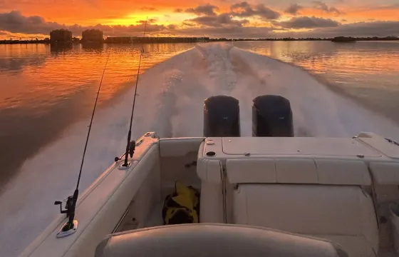 Salt and Sunset Charters — Private Grady-White 306 | Dolphins, Shelling & Sunset