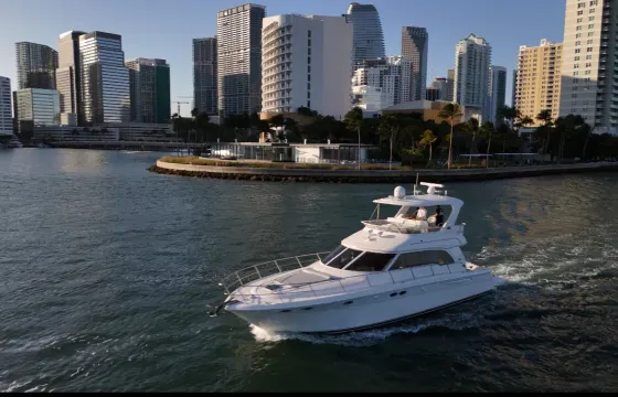 Enjoy This Beautiful 60” Searay! with FREE HOUR