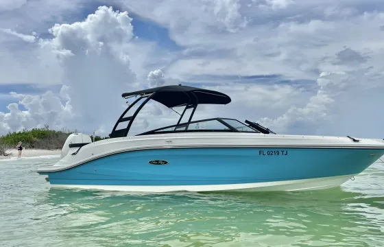 Private Dolphin and Island Tour on the Gulf of Mexico on a 2023 Sea Ray!