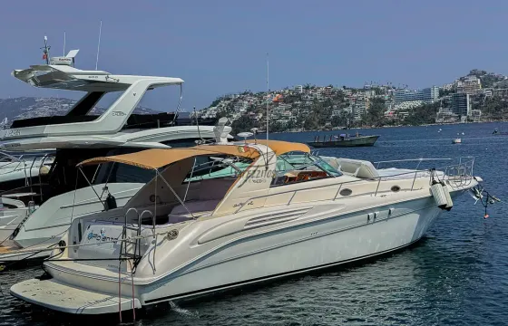 Sea Ray 48 ft Beautiful Yacht