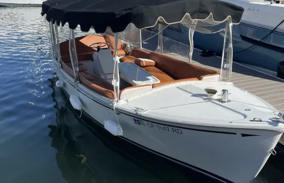 21' Luxury Electric Duffy Boat in Newport Beach(MAP24-0067)