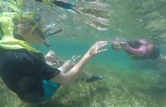 Snorkel Like a Pro: Gear Rental