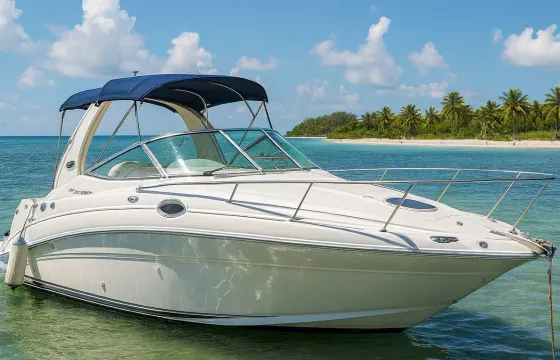 31' Sea Ray 280 Luxury Cruise for 9 Guests