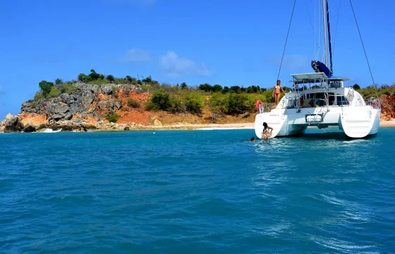 Lagoon 38 Whales Watching Private Charter in Saint-Martin