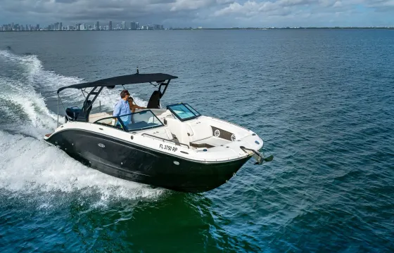 2020 Custom Sea Ray 29ft Powerboat in Miami Beach