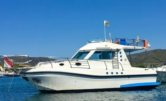 Charter 30' Elba Motor Yacht in Marina di Campo LI, Italy
