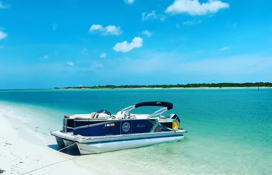 Private Pontoon Tours for up to 6 people with Captain in Clearwater Beach