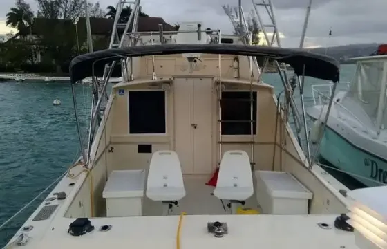 Montego Bay Private Deep Sea Fishing Trip for 4-Hours