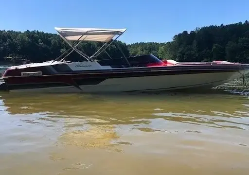 Eliminator Boat Cruise, / Rental with Captain on Lake Norman